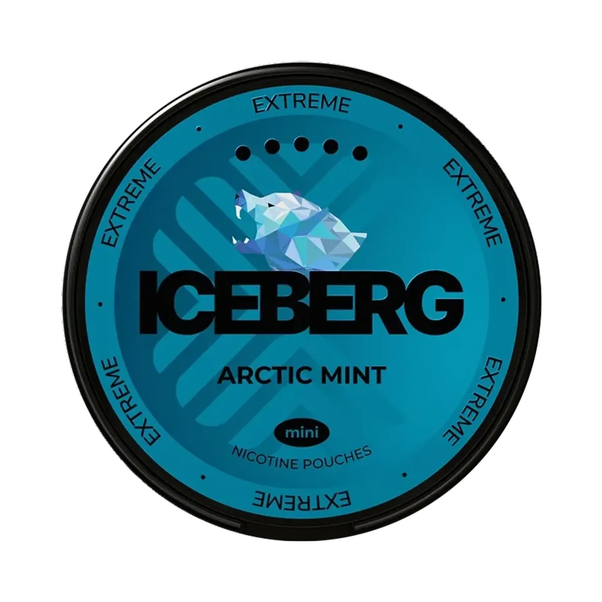 ICEBERG Mini Arctic Mint 20mg